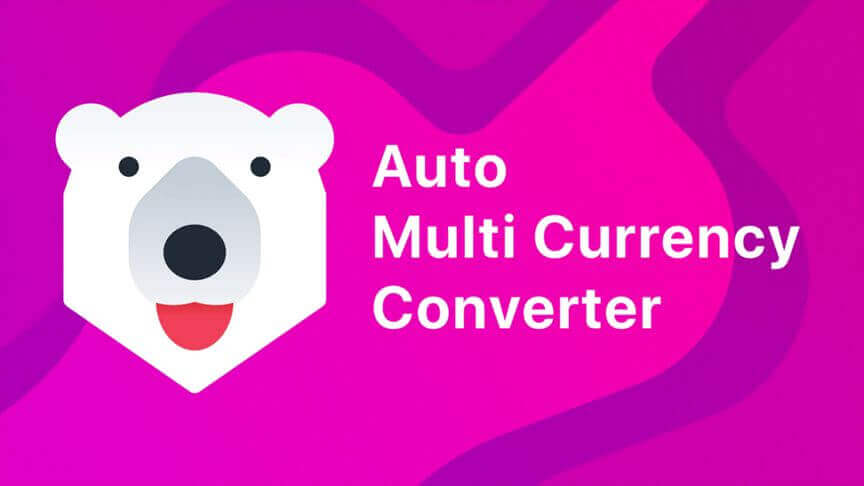 Currency Converter Bear