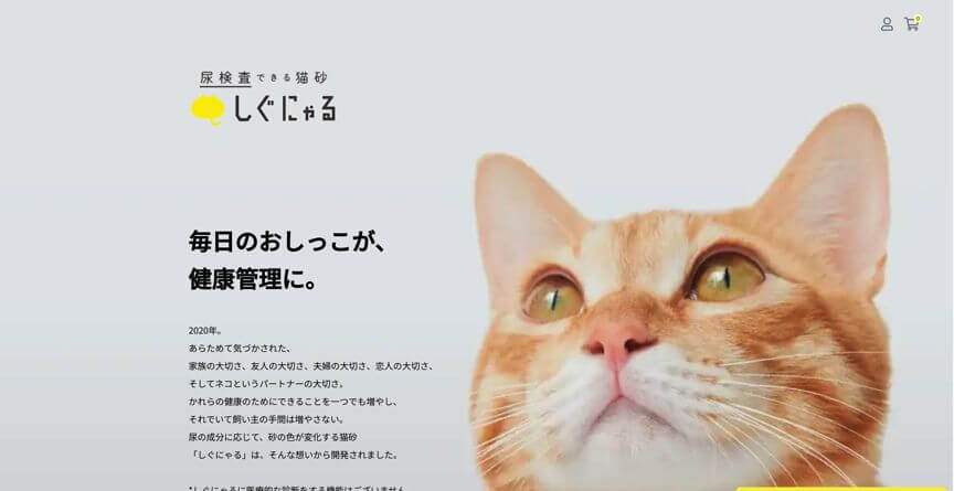番外編:猫用品D2C しぐにゃる