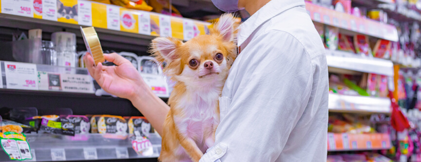 ペットフードの市場規模について