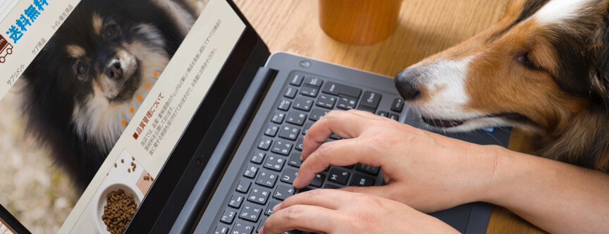 ペットフードD2Cサービス5選