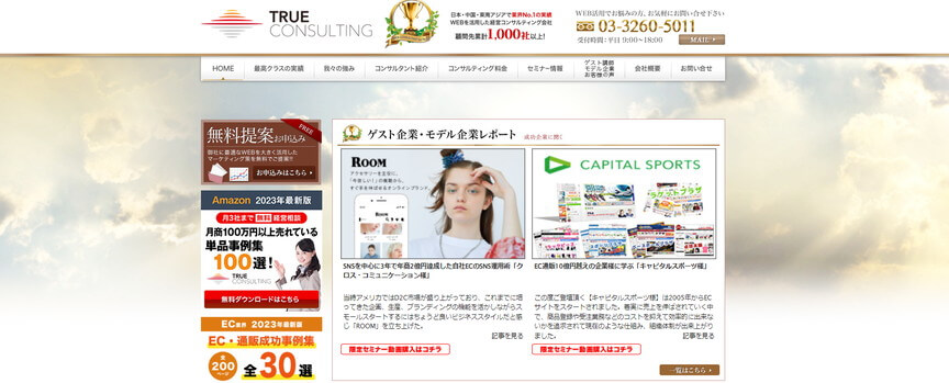 トゥルーコンサルティング株式会社