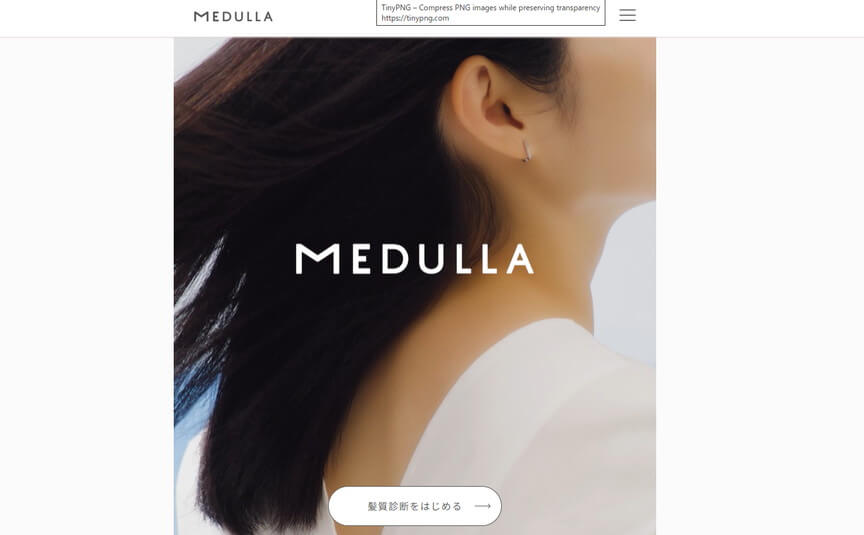 MEDULLA